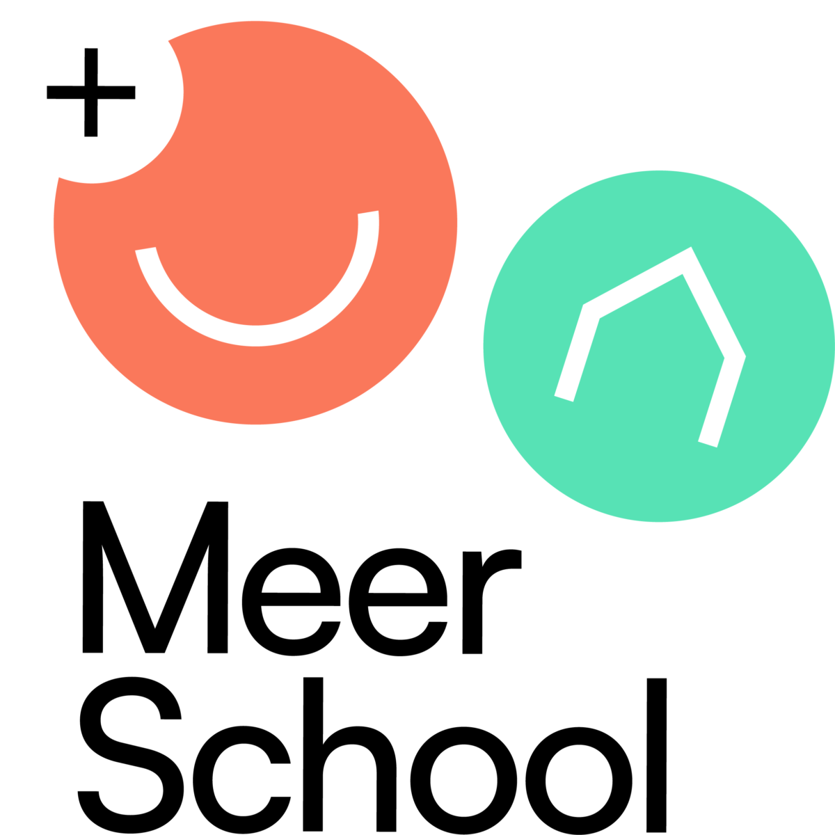 Meer School logo